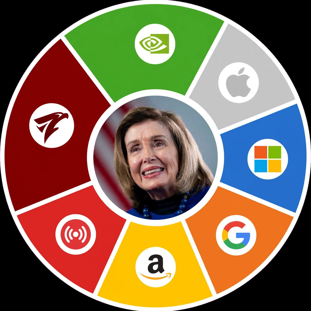 Nancy Pelosi portfolio holdings